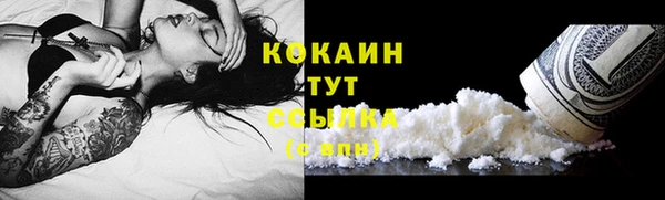 спайс Алексин