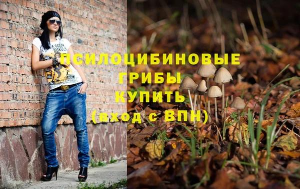 марки nbome Алексеевка