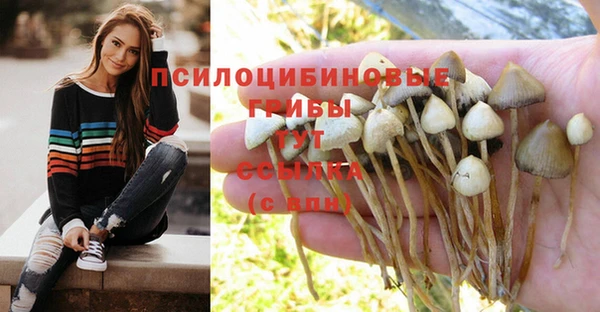 марки nbome Алексеевка