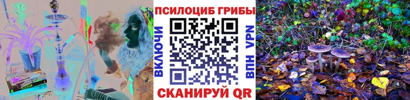 хочу наркоту  нарко площадка клад  Псилоцибиновые грибы ЛСД  Краснообск 